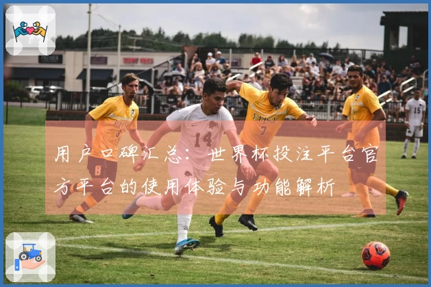 用户口碑汇总：世界杯投注平台官方平台的使用体验与功能解析