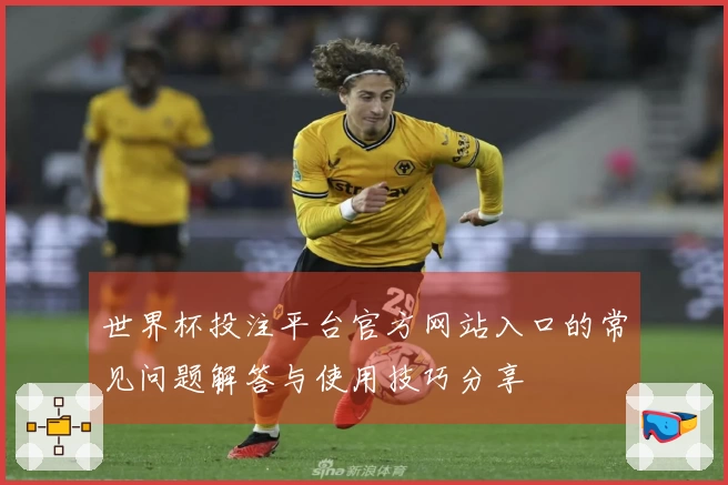 世界杯投注平台官方网站入口的常见问题解答与使用技巧分享