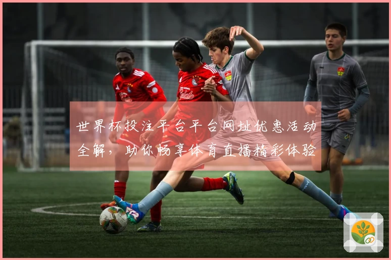 世界杯投注平台平台网址优惠活动全解，助你畅享体育直播精彩体验