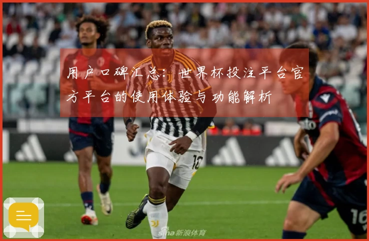 用户口碑汇总：世界杯投注平台官方平台的使用体验与功能解析