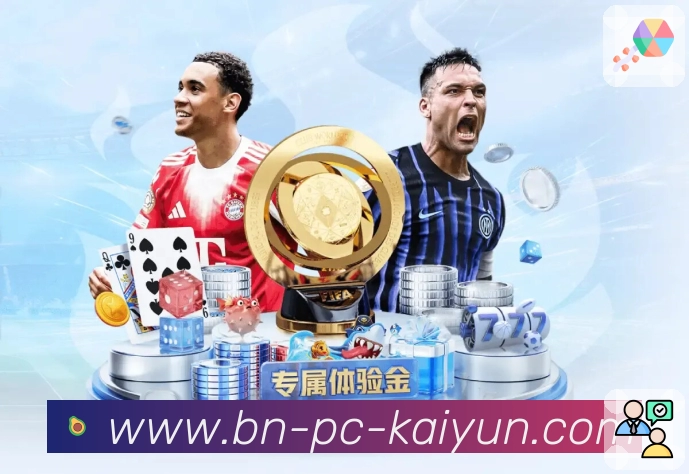 kaiyun多入口服务